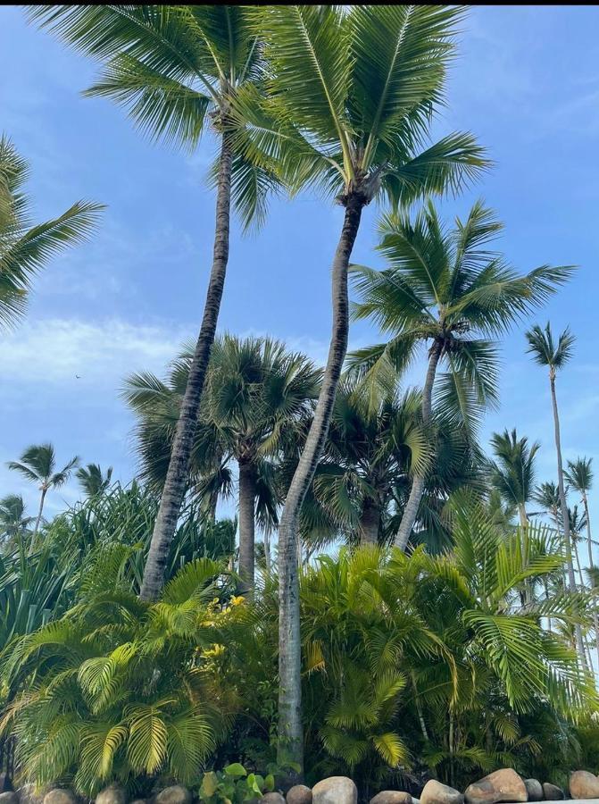 Yonah Comfort Punta Cana, Shared Apartment エクステリア 写真